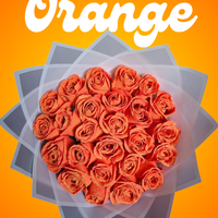 البرتقالي اللماع