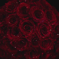 الأحمر اللماع